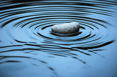 Illustration skited - Image 1