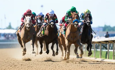 Illustration trialing - Image 1