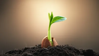 Illustration break - Image 1