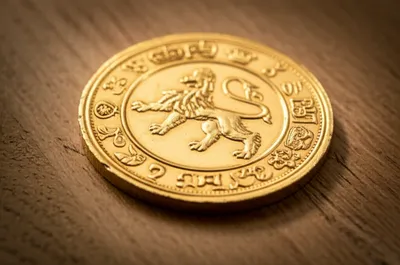 Illustration ducat - Image 1