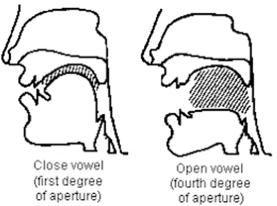 Hình ảnh minh họa open - Ảnh 6