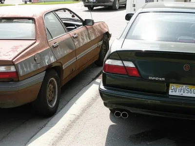 Illustration ringer - Image 1