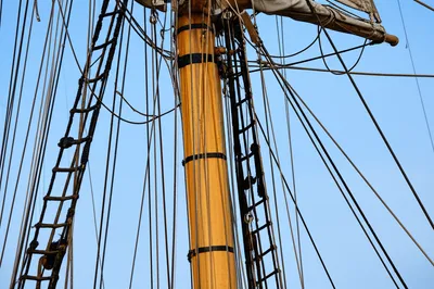 Illustration tongs - Image 1