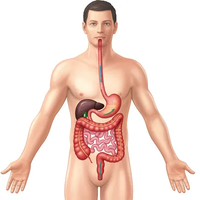 Illustration digest - Image 1