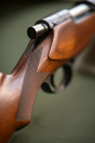 Illustration combs - Image 1