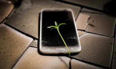 Illustration bricking - Image 1