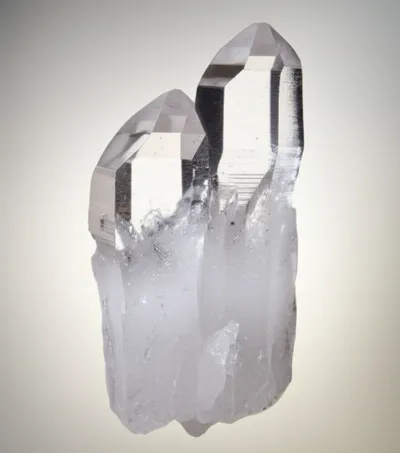 Illustration twins - Image 1