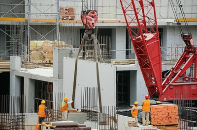 Illustration crane - Image 1