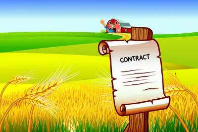 Illustration farms - Image 1