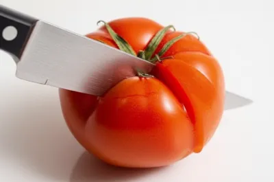 Illustration duller - Image 1