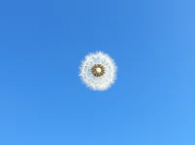 Illustration clear - Image 1