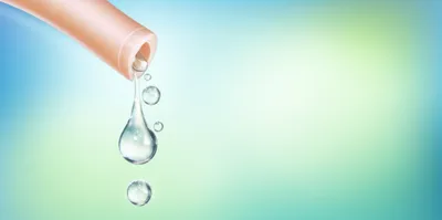 Illustration secretions - Image 1