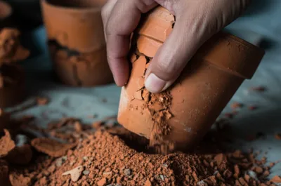 Illustration crumble - Image 1