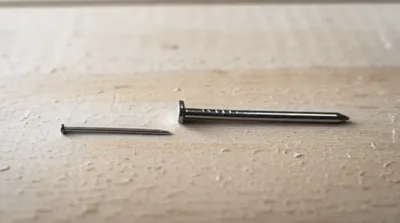 Illustration sprigs - Image 1