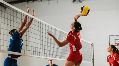 Illustration attack - Image 1