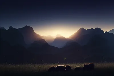 Illustration dawned - Image 1