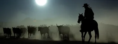 Illustration rustles - Image 1