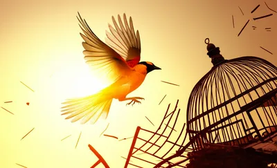 Illustration disentangled - Image 1