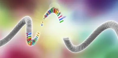 Illustration ribozyme