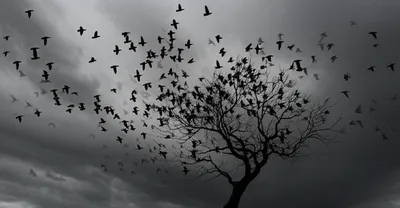 Illustration bode - Image 1