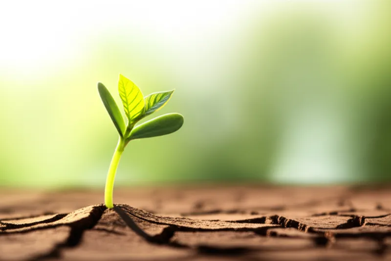 单词"starts"的视觉插图 - 开始，开端。
