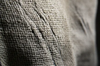 Hình ảnh minh họa scrammed - Ảnh 1