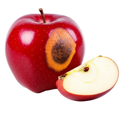 Illustration oxidized