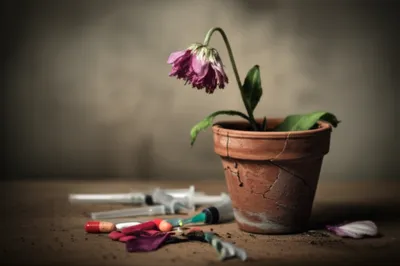 Illustration head - Image 1