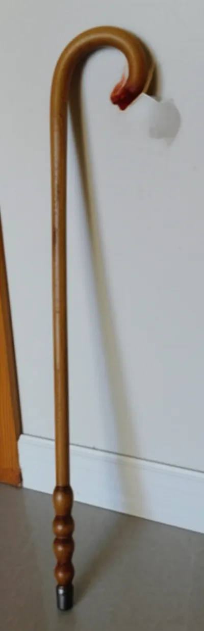 Illustration loaded - Image 1