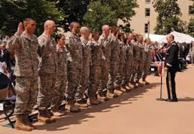 Illustration enlist - Image 2