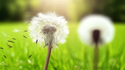 Illustration expectations - Image 1