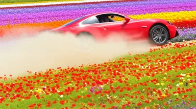 Illustration brake - Image 1