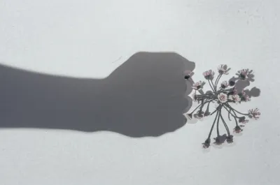 Illustration brutality - Image 1