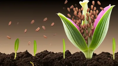 Illustration procreated - Image 1