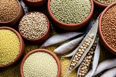 Illustration gr - Image 1