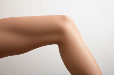 Illustration genu - Image 1