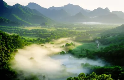 Illustration misted - Image 1