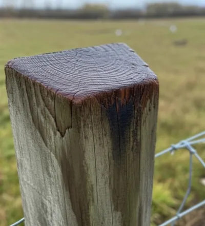 Illustration weathered - Image 1