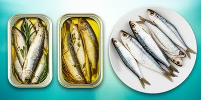 Illustration sardines - Image 1