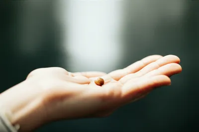 Illustration enclosing - Image 1