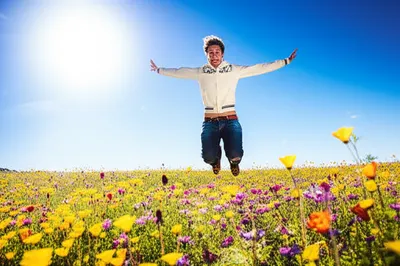 Illustration elation