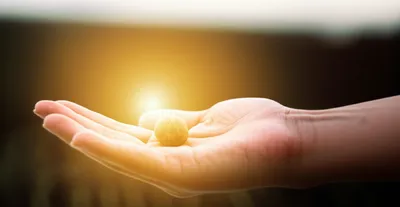 Illustration offers - Image 1