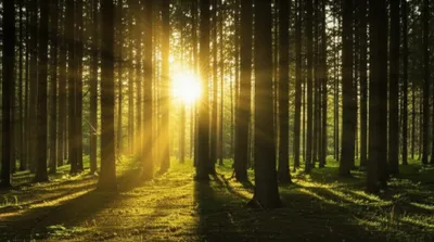 Illustration beams - Image 1