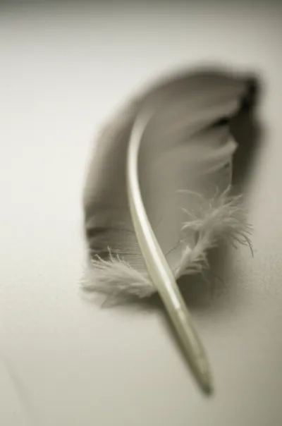 Illustration quill - Image 1