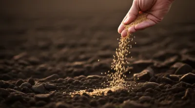 Illustration sown - Image 1