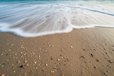 Illustration swash - Image 1