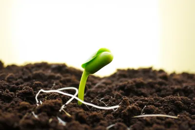 Illustration spire - Image 1