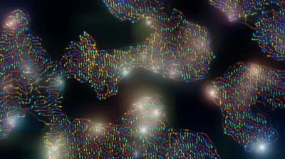 Illustration motif - Image 1