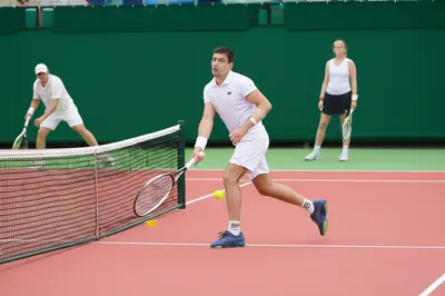 Illustration poaches - Image 1