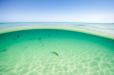 Illustration aqua - Image 1